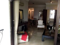 Tanglin Park (D10), Condominium #578599811